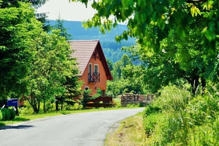 Wydrza-Przystan Villa Mirsk Dış mekan fotoğraf